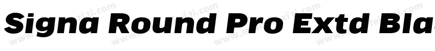 Signa Round Pro Extd Black字体转换